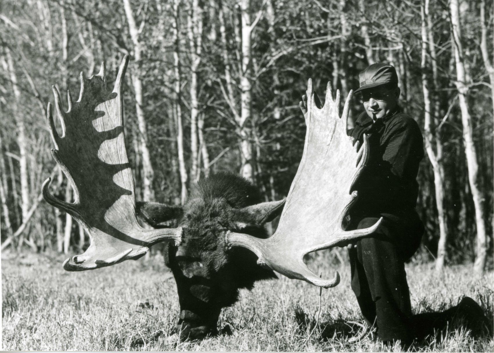 Moose